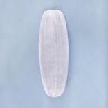 View 1 of White Polypropylene Sleeves